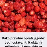 Kako pravilno oprati jagode: Jednostavan trik uklanja prljavštinu i pesticide za nekoliko minuta