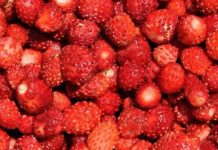 Kako pravilno oprati jagode: Jednostavan trik uklanja prljavštinu i pesticide za nekoliko minuta