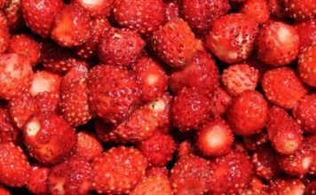 Kako pravilno oprati jagode: Jednostavan trik uklanja prljavštinu i pesticide za nekoliko minuta