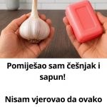Pomiješao sam češnjak i sapun! Nisam vjerovao da ovako djeluje…