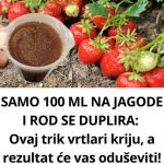 Samo 100 ML na jagode I rod se duplira: ovaj trik vrtlari kriju, a rezultat će vas oduševiti!