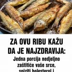 ZA OVU RIBU KAŽU DA JE NAJZDRAVIJA: Jedna porcija nedjeljno zaštitiće vaše srce, sniziti holesterol i popraviti memoriju