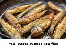 ZA OVU RIBU KAŽU DA JE NAJZDRAVIJA: Jedna porcija nedjeljno zaštitiće vaše srce, sniziti holesterol i popraviti memoriju