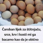 Čaroban lijek za štitnjaču, srce, krv i kosti mi ga bacamo kao da je obično smeće!
