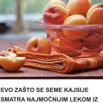 EVO ZAŠTO SE SEME KAJSIJE SMATRA NAJMOĆNIJIM LEKOM IZ PRIRODE: Obavezan deo ishrane!