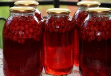 LIJEČI ŽENSKE TEGOBE, ČUVA SRCE: Prirodni lijek od maline – upute za pripremu