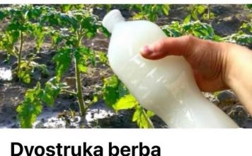 Dvostruka Berba Paradajza, Krastavaca I Bez Štetočina: Sipajte ovo u baštu!