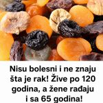 Nisu bolesni i ne znaju šta je rak! Žive po 120 godina, a žene rađaju i sa 65 godina! Ključ je u ovom voću