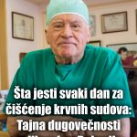 Jedite ovo svaki dan za čišćenje krvnih sudova: Tajna dugovečnosti velikog Lea Bokerije