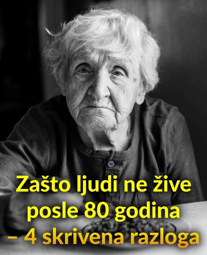 677205869_1443277037830870_967877702974237231_n
