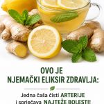 OVO JE NJEMAČKI ELIKSIR ZDRAVLJA: Jedna čaša čisti ARTERIJE i sprječava NAJTEŽE BOLESTI! (RECEPT)