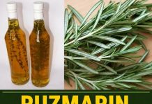 RUZMARIN I RAKIJA: Tretman za bolne vene, cirkulaciju i grčeve u nogama!