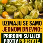 UZIMAJU SE SAMO JEDNOM DNEVNO: Prirodni su lijek protiv prostate, jetre, bolesti debelog crijeva…