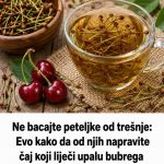 NE BACAJTE PETELJKE OD TREŠNJE: Evo kako da od njih napravite čaj koji liječi upalu bubrega i mokraćnih kanala…