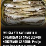 EVO ŠTA STE SVE UNIJELI U ORGANIZAM SA SAMO JEDNOM KONZERVOM SARDINE: Poslije ovog ćete dobro razmisliti