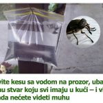 Stavite kesu sa vodom na prozor, ubacite jednu stvar koju svi imaju u kući – i više nikada nećete videti muhu