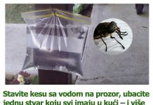 Stavite kesu sa vodom na prozor, ubacite jednu stvar koju svi imaju u kući – i više nikada nećete videti muhu