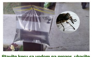 Stavite kesu sa vodom na prozor, ubacite jednu stvar koju svi imaju u kući – i više nikada nećete videti muhu