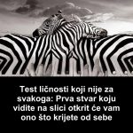 Test ličnosti koji nije za svakoga: Prva stvar koju vidite na slici otkrit će vam ono što krijete od sebe