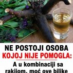 NE POSTOJI OSOBA KOJOJ NIJE POMOGLA! A u kombinaciji sa rakijom, moć ove biljke nema granice!
