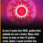 Za ova 3 znaka leto 2026. godine biće najbolje do sad u životu: Njima stiže šansa na koju se čeka 12 godina, sreću, ljubav i uspeh privlače kao magnet