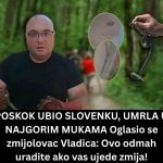 Poznati zmijolovac otkrio šta da uradite ako vas ujede zmija: Ovako prepoznajte otrovnicu od bezopasne vrste