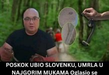 Poznati zmijolovac otkrio šta da uradite ako vas ujede zmija: Ovako prepoznajte otrovnicu od bezopasne vrste
