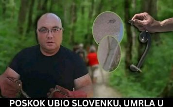 Poznati zmijolovac otkrio šta da uradite ako vas ujede zmija: Ovako prepoznajte otrovnicu od bezopasne vrste