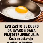 EVO ZAŠTO JE DOBRO DA SVAKOG DANA POJEDETE JEDNO JAJE: Čuda se dešavaju u vašem organizmu, a da to i ne znate