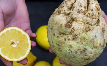 CELER I LIMUN: Jednostavan napitak koji pročišćava organizam od masnoće…