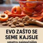Evo zašto se seme kajsije smatra najmoćnijim lekom iz prirode: Obavezan deo ishrane!