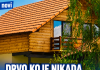 Drvo koje nikada ne treba saditi u dvorištu: Tjera sreću iz kuće i unosi bijedu, nesreću i maler