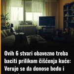 Ovih 6 stvari obavezno treba baciti prilikom čišćenja kuće: Veruje se da donose bedu i nesreću