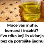 Korisni savjeti kako se riješiti muha i komaraca u kući