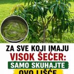 IMATE POVIŠEN ŠEĆER? Pijte čaj od ovog lišća!