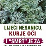 Liječi nesanicu, kurje očI I “smrt” je za gljivice I bakterije: Obavezno napravite čaj ili kupku od ove moćne biljke!