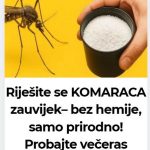 Riješite se KOMARACA zauvijek– bez hemije, samo prirodno! Probajte večeras