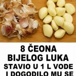 SAZNAJEMO ŠTA BIJELI LUK MOŽE URADITI TIJELU AKO JEDETE PO 2,3 ČENA NA DAN: Ovih 8 stvari će se desiti odmah, obavezno pogledajte