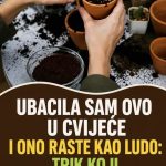 UBACILA SAM OVO U CVIJEĆE I ONO RASTE KAO LUDO: Trik koji ćete obožavati, A BESPLATNO JE