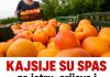 Kajsije mogu biti veliki saveznik za zdravlje, ali ova grupa ljudi treba da bude oprezna