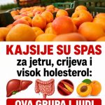Kajsije mogu biti veliki saveznik za zdravlje, ali ova grupa ljudi treba da bude oprezna