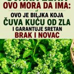 Ova biljka ČUVA kuću od zla i garantuje sretan BRAK i NOVAC: Obavezna je u kući!