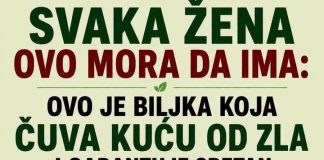 Ova biljka ČUVA kuću od zla i garantuje sretan BRAK i NOVAC: Obavezna je u kući!