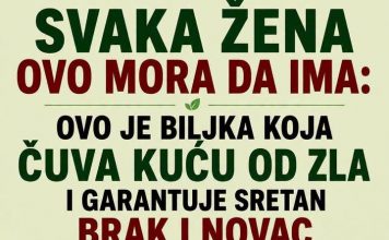 Ova biljka ČUVA kuću od zla i garantuje sretan BRAK i NOVAC: Obavezna je u kući!