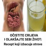 OČISTITE CRIJEVA I OLAKŠAJTE SEBI ŽIVOT: Recept koji izbacuje otrove i poboljšava varenje