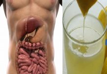 OČISTITE CRIJEVA I OLAKŠAJTE SEBI ŽIVOT: Recept koji izbacuje otrove i poboljšava varenje