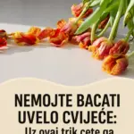NEMOJTE BACATI UVELO CVIJEĆE: Uz ovaj trik ćete ga vratiti u ‘život’