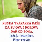 Ruska travarka kaže da su ova 3 korova dar od Boga, jačaju imunitet, čiste creva: Sve što treba da uradite je da ih uberete i skuvate čaj