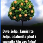 Drvo želja: Zamislite želju, odaberite plod i saznajte što vas čeka!