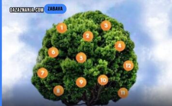 Drvo želja: Zamislite želju, odaberite plod i saznajte što vas čeka!